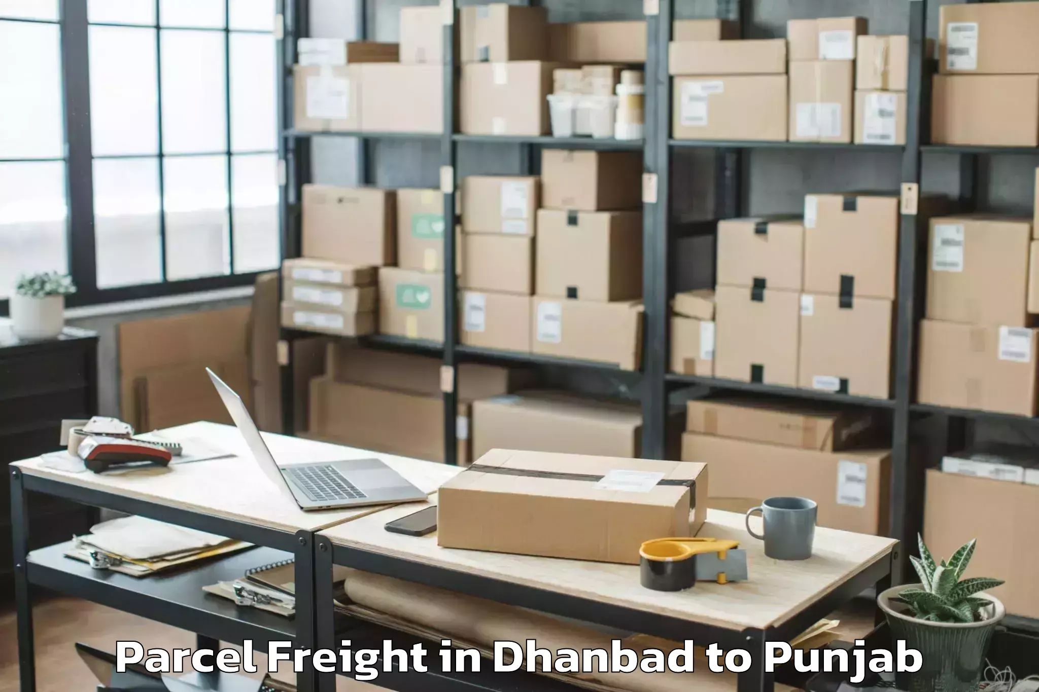 Reliable Dhanbad to Jalandhar Parcel Freight